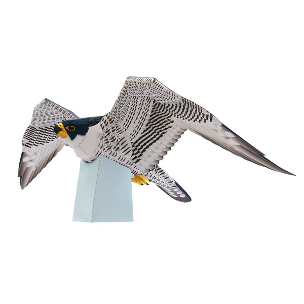 فیگور (مجسمه) مدل کاردستی ساختنی طرح پرنده شاهین