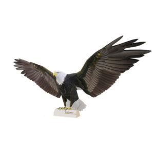 فیگور (مجسمه) مدل کاردستی ساختنی طرح عقاب سرسفید