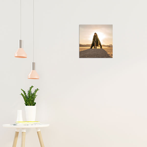 تابلو شاسی تیموتی شالامی در فیلم تل ماسه Dune (1)